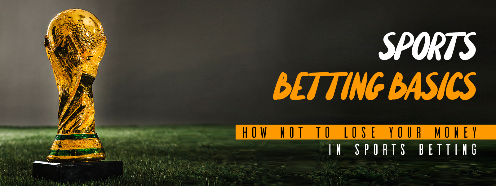 Sports Betting Basics - How Not to Lose Your Money in Sports Betting